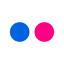 Flickr Icon